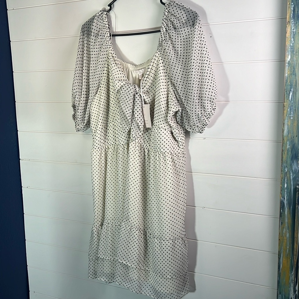 NWT XXL LAUREN Conrad poka dot dress. A265